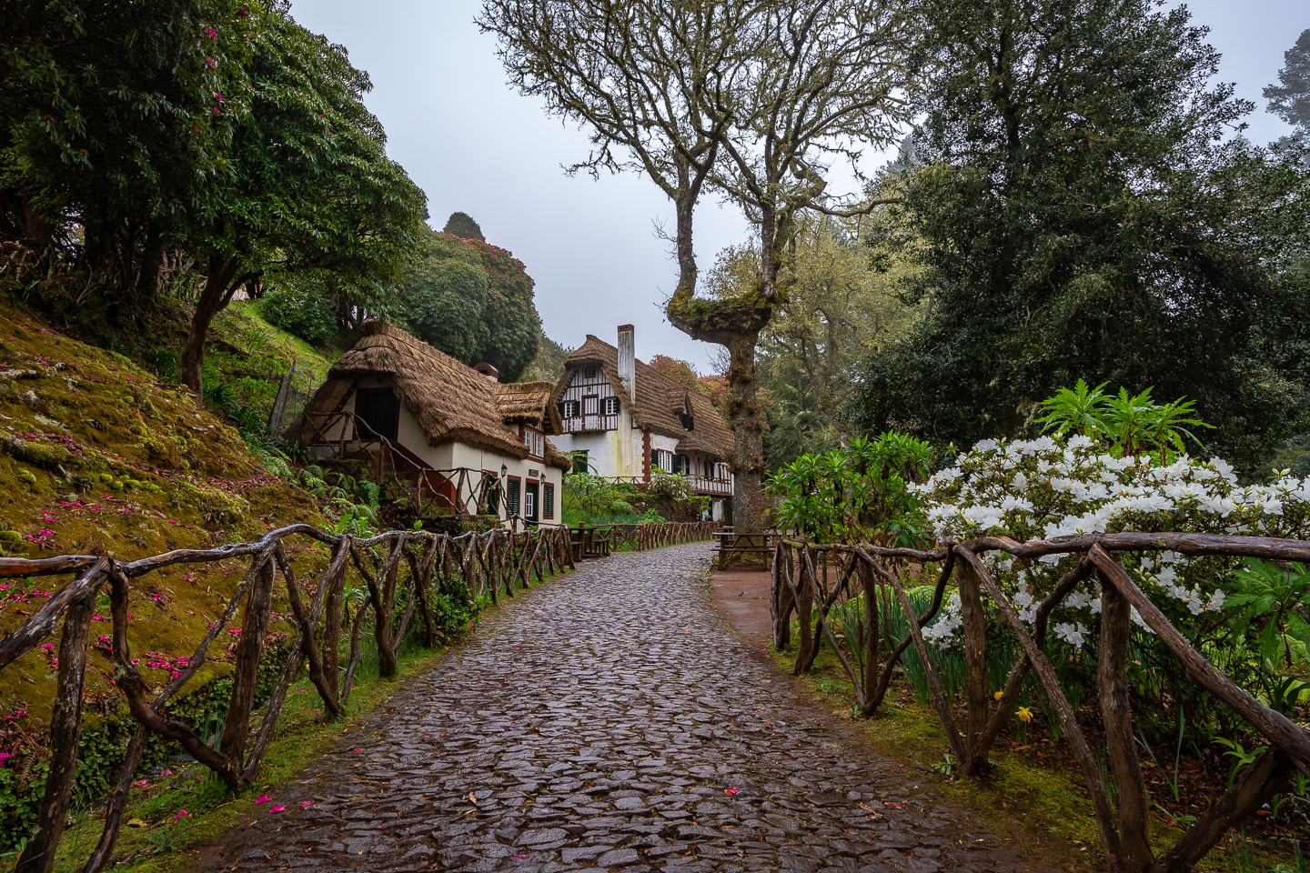 Parque Florestal das Queimadas