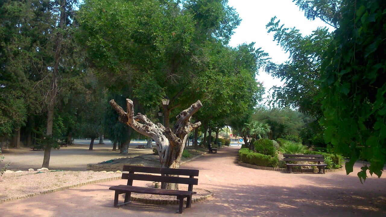 PARQUE HONDO DE LAS FUENTES (3)