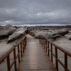 Parque Ischigualasto -Pasarelas