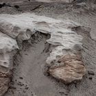 Parque Ischigualasto - Triásico Superior