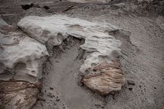 Parque Ischigualasto - Triásico Superior