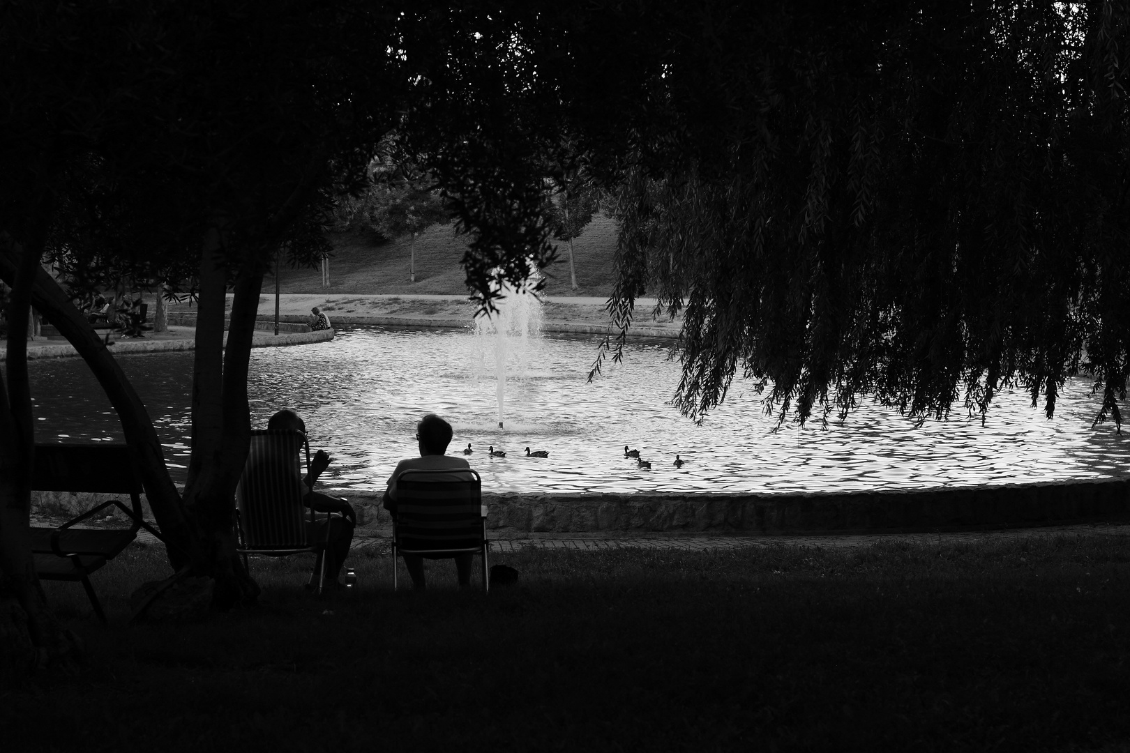 Parque lineal de vallecas. Madrid 2019