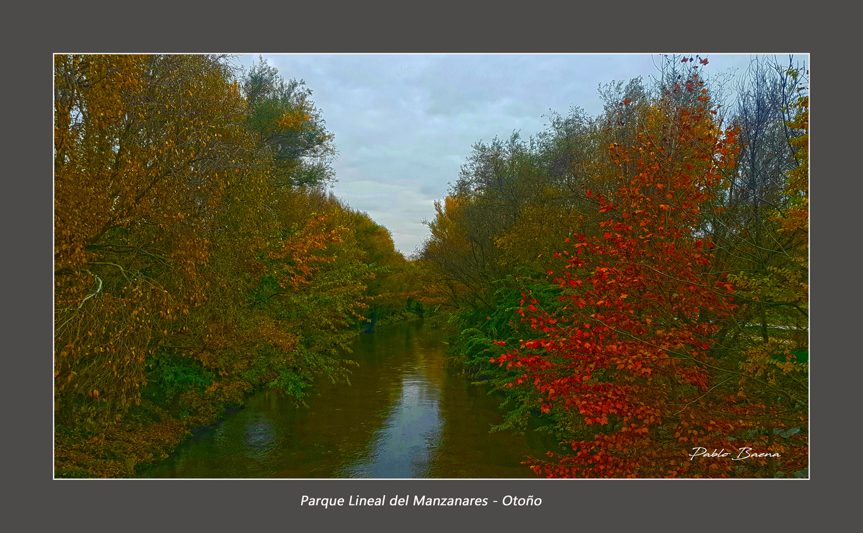 Parque lineal del Manzanares - Otoño