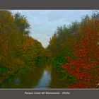 Parque lineal del Manzanares - Otoño