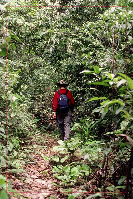 Parque Nacional Amboró