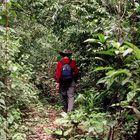 Parque Nacional Amboró