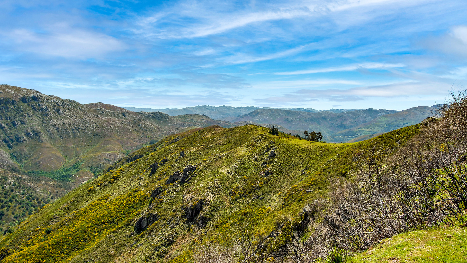 Parque Nacional da Peneda-Gerês 01