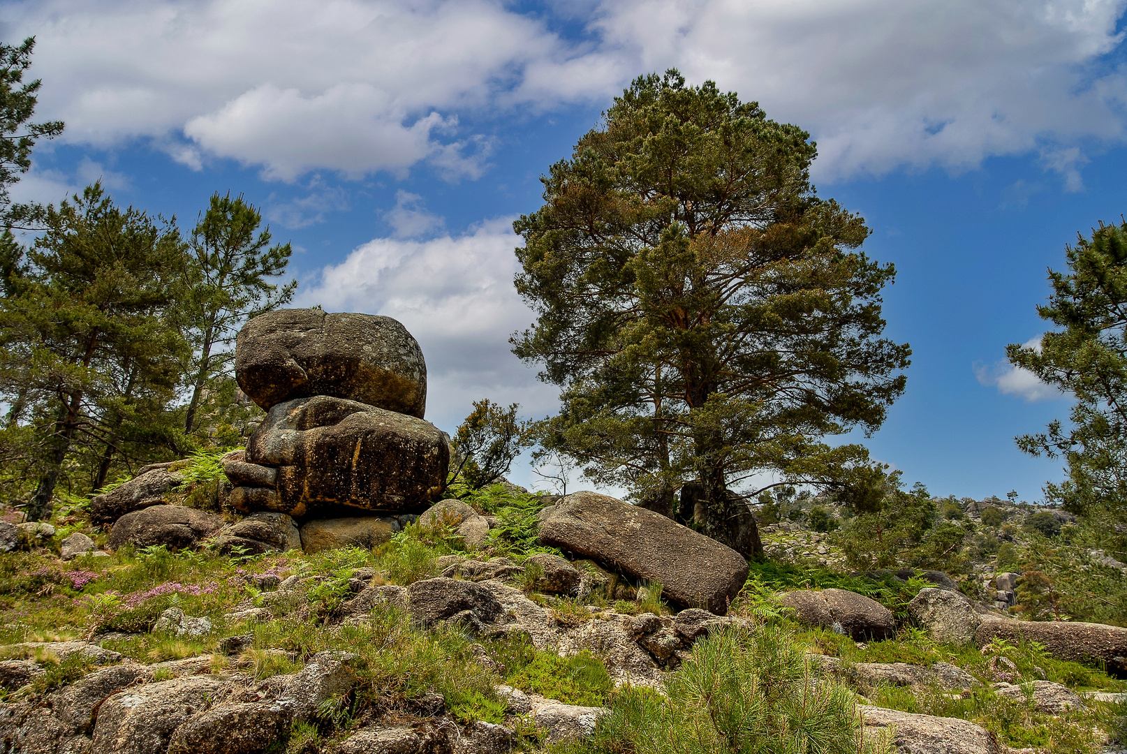 Parque Nacional da Peneda-Gerês 02