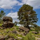 Parque Nacional da Peneda-Gerês 02