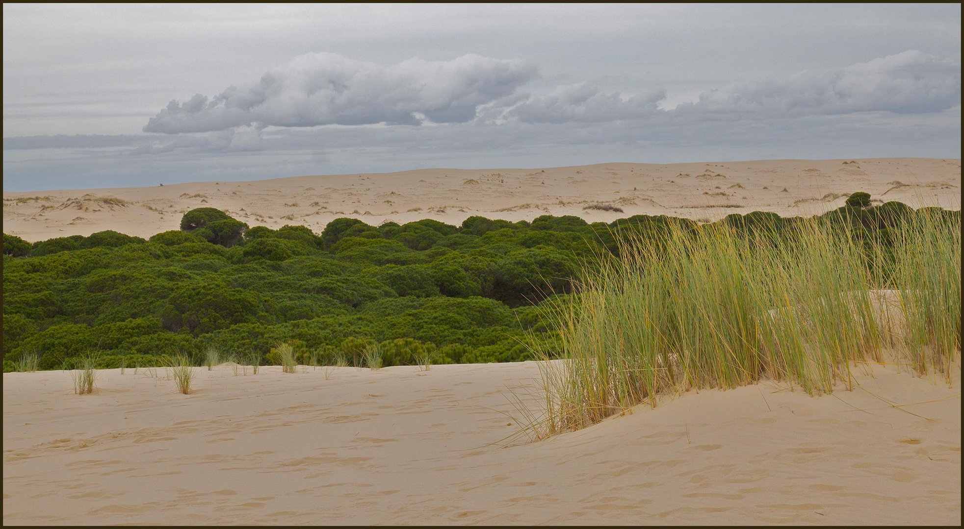 Parque Nacional de Donana