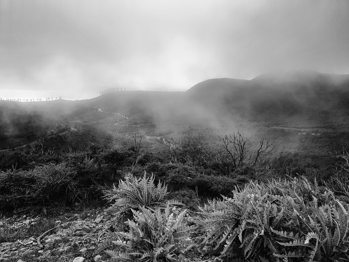 Parque Nacional de Garajoray