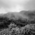 Parque Nacional de Garajoray