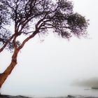 Parque Nacional de Huascarán