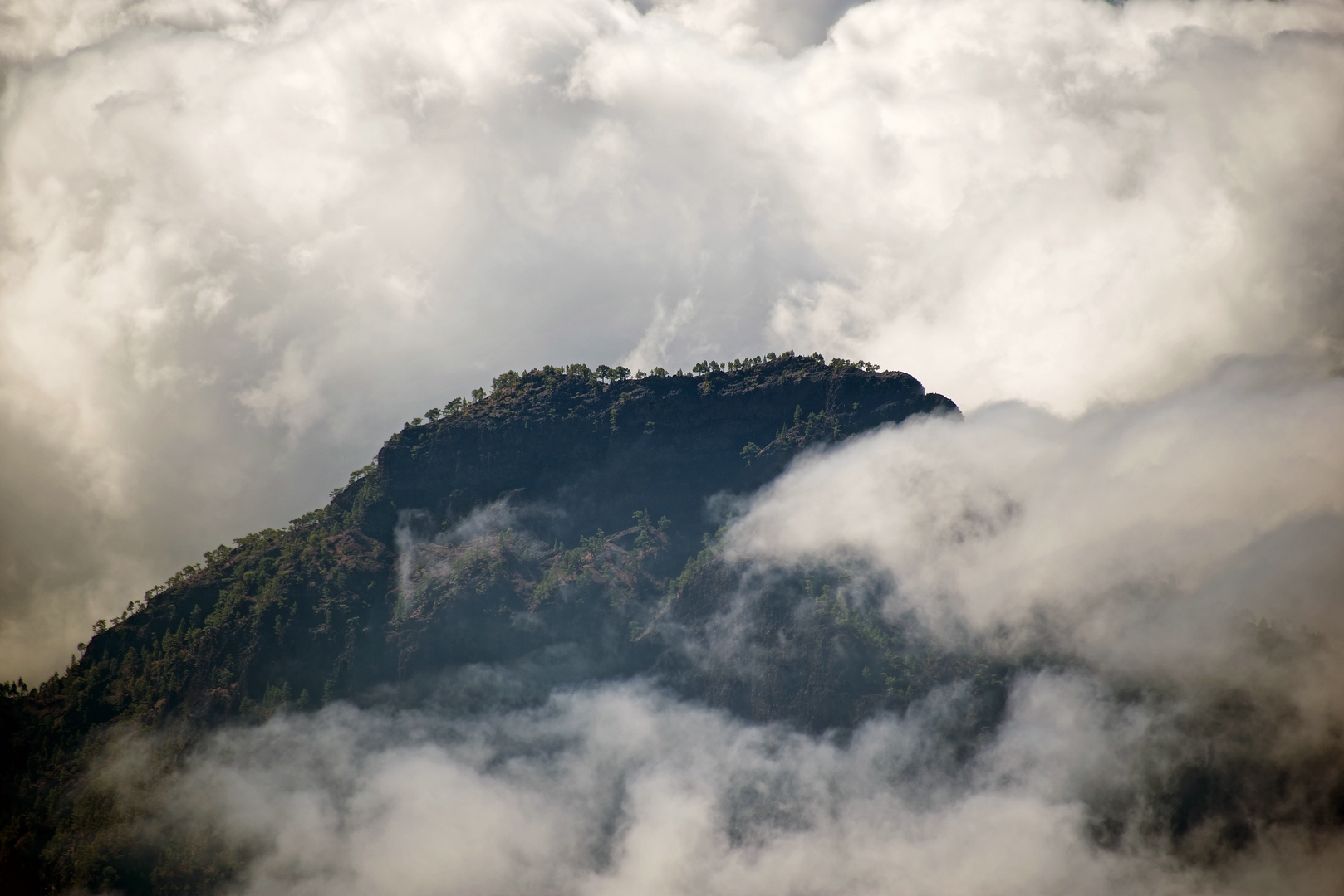 ::. Parque Nacional de la Caldera de Taburiente .::