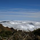 Parque Nacional de la Caldera de Taburiente - 2013 (2)