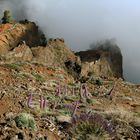 Parque Nacional de la Caldera de Taburiente - 2013 (3)