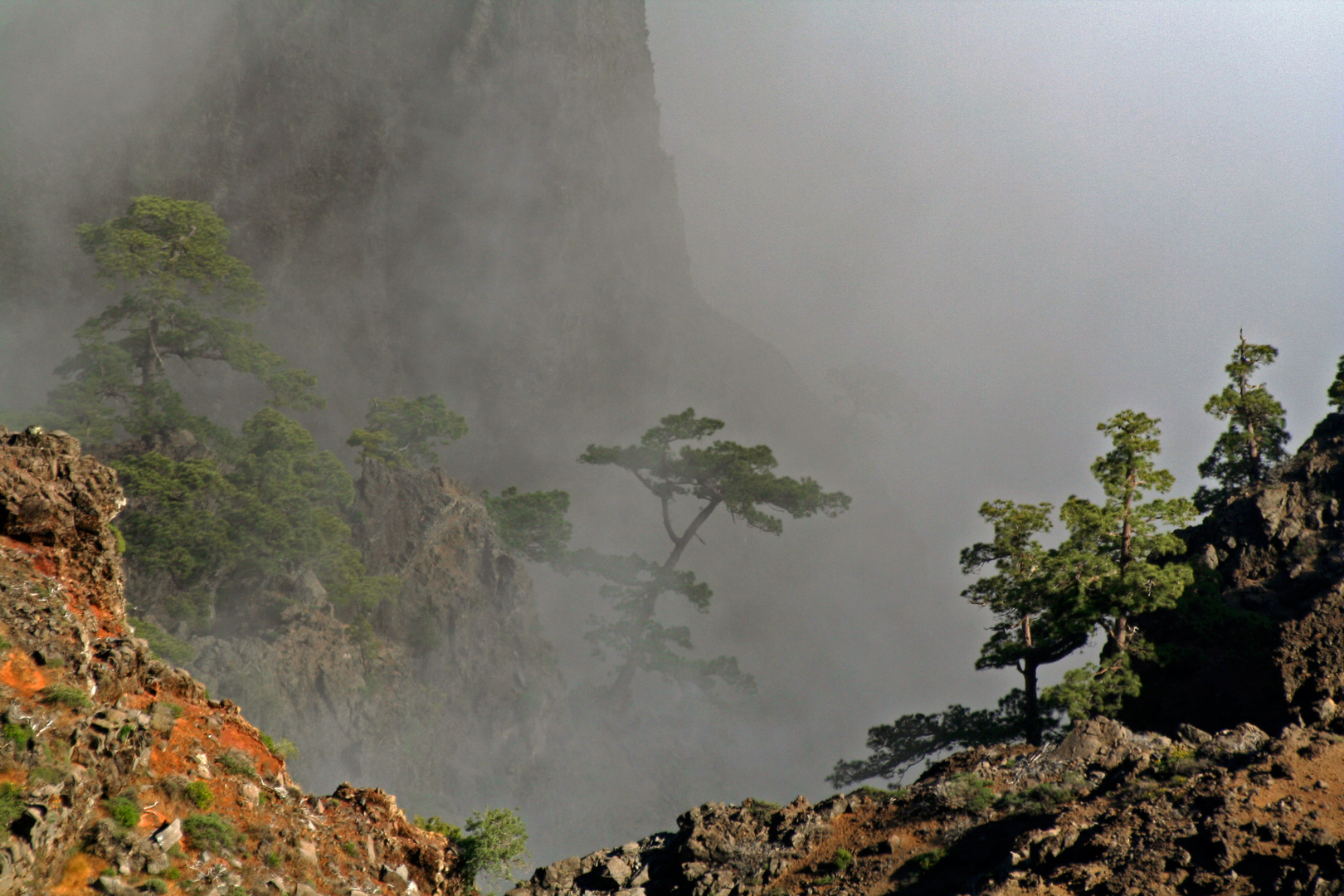 Parque Nacional de la Caldera de Taburiente - 2013 (4)