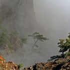 Parque Nacional de la Caldera de Taburiente - 2013 (4)