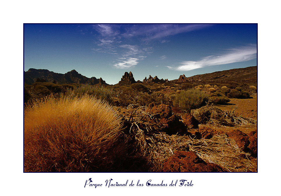 Parque Nacional de las Cañadas del Teide