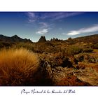 Parque Nacional de las Cañadas del Teide