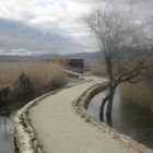 Parque nacional de las Tablas de Daimiel - National Park 'Las Tablas de Daimiel' (Spain, La Mancha)