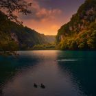 Parque Nacional de los Lagos de Plitvice. Croacia