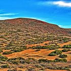 Parque Nacional del Teide