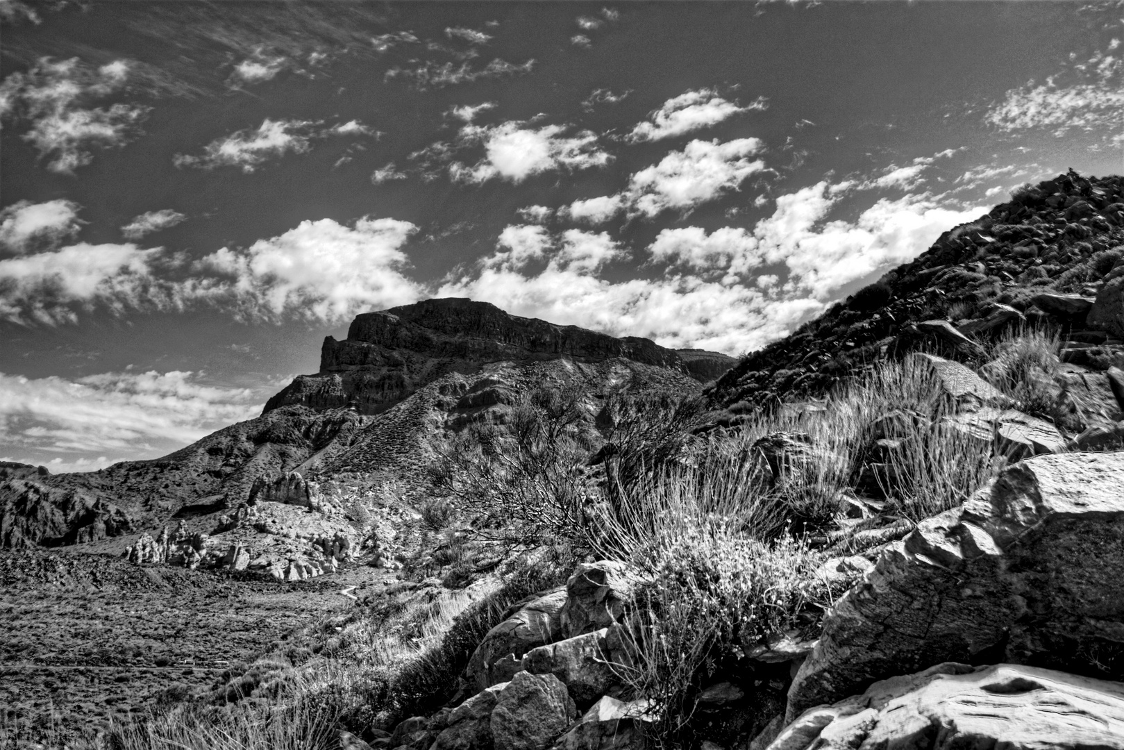 Parque Nacional del Teide