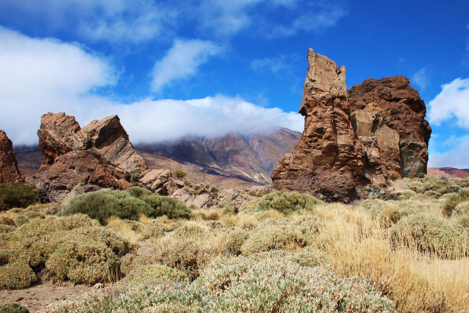 Parque Nacional del Teide