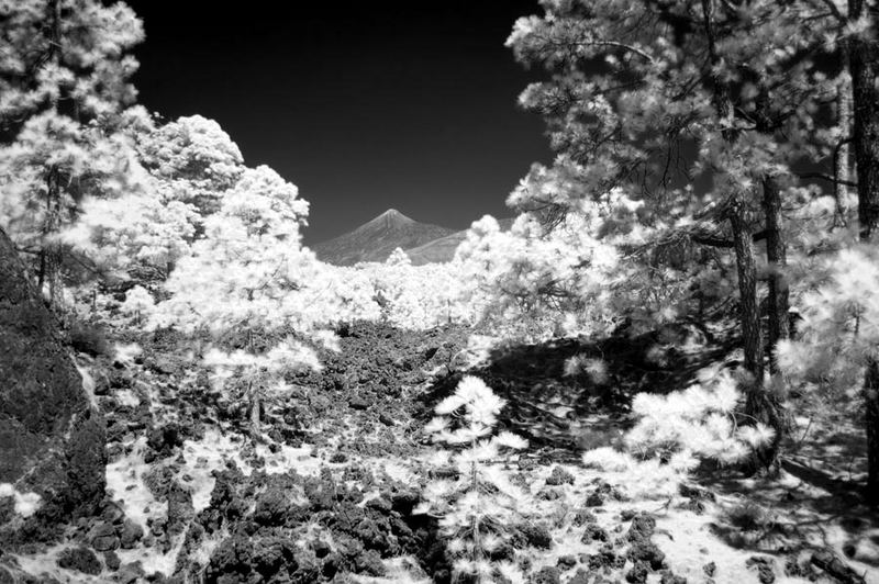 Parque Nacional del Teide