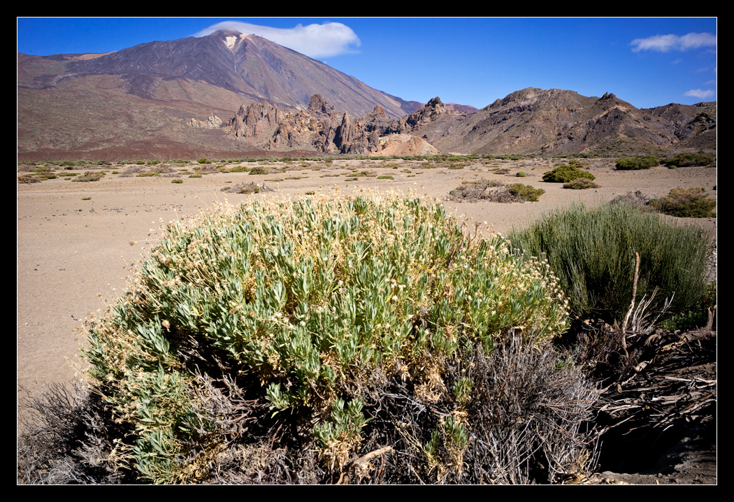 Parque Nacional del Teide *4