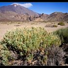 Parque Nacional del Teide *4