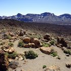 ...Parque Nacional del Teide 4...