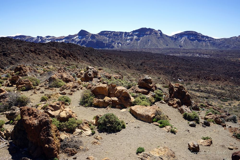 ...Parque Nacional del Teide 4...