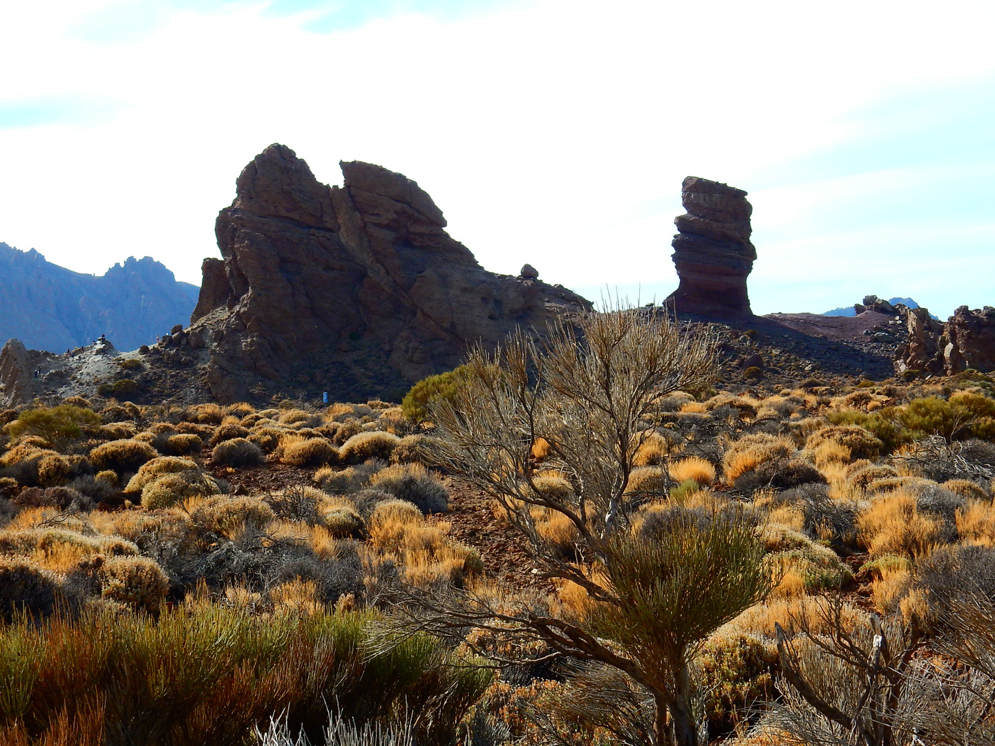 Parque Nacional del Teide