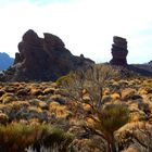 Parque Nacional del Teide