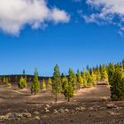 Parque Nacional del Teide/ Las Cañadas