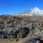 Parque nacional del Teide - Tenerife