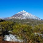 Parque nacional del Teide - Tenerife