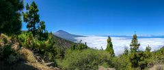 Parque nacional del Teide - Tenerife