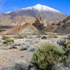 Parque nacional del Teide - Tenerife