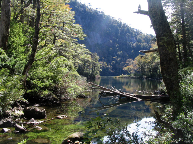 Parque Nacional Huerquehue