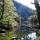 Parque Nacional Huerquehue