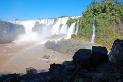 Parque Nacional Iguazú - Foto 222