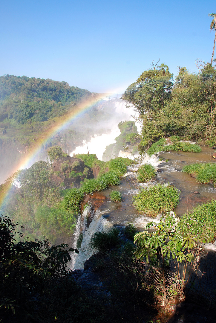 Parque Nacional Iguazú - Foto 227