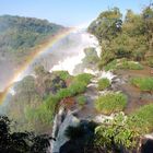 Parque Nacional Iguazú - Foto 227