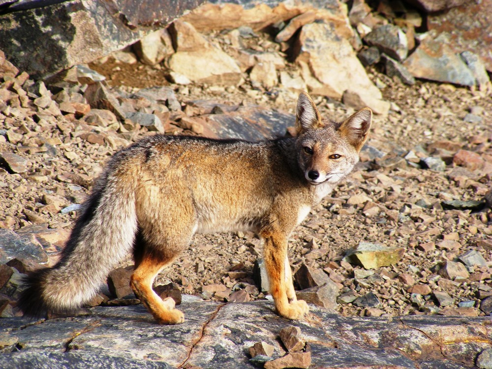 Parque Nacional La Campana Olmue