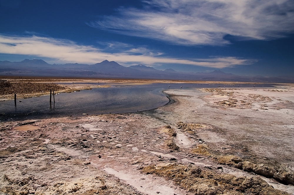 Parque Nacional Los Flamencos