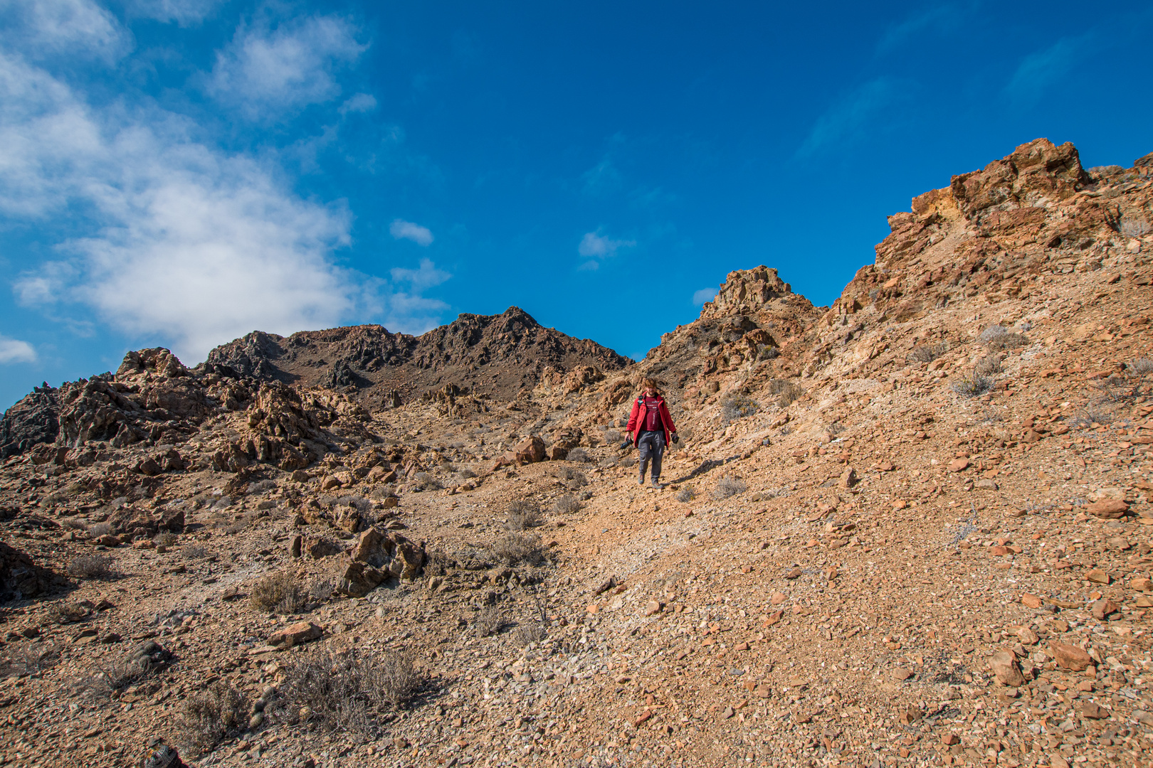 Parque Nacional Pan de Azúcar