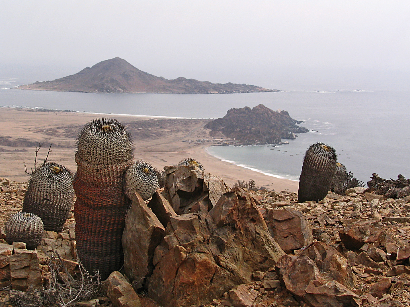 Parque Nacional Pan de Azúcar